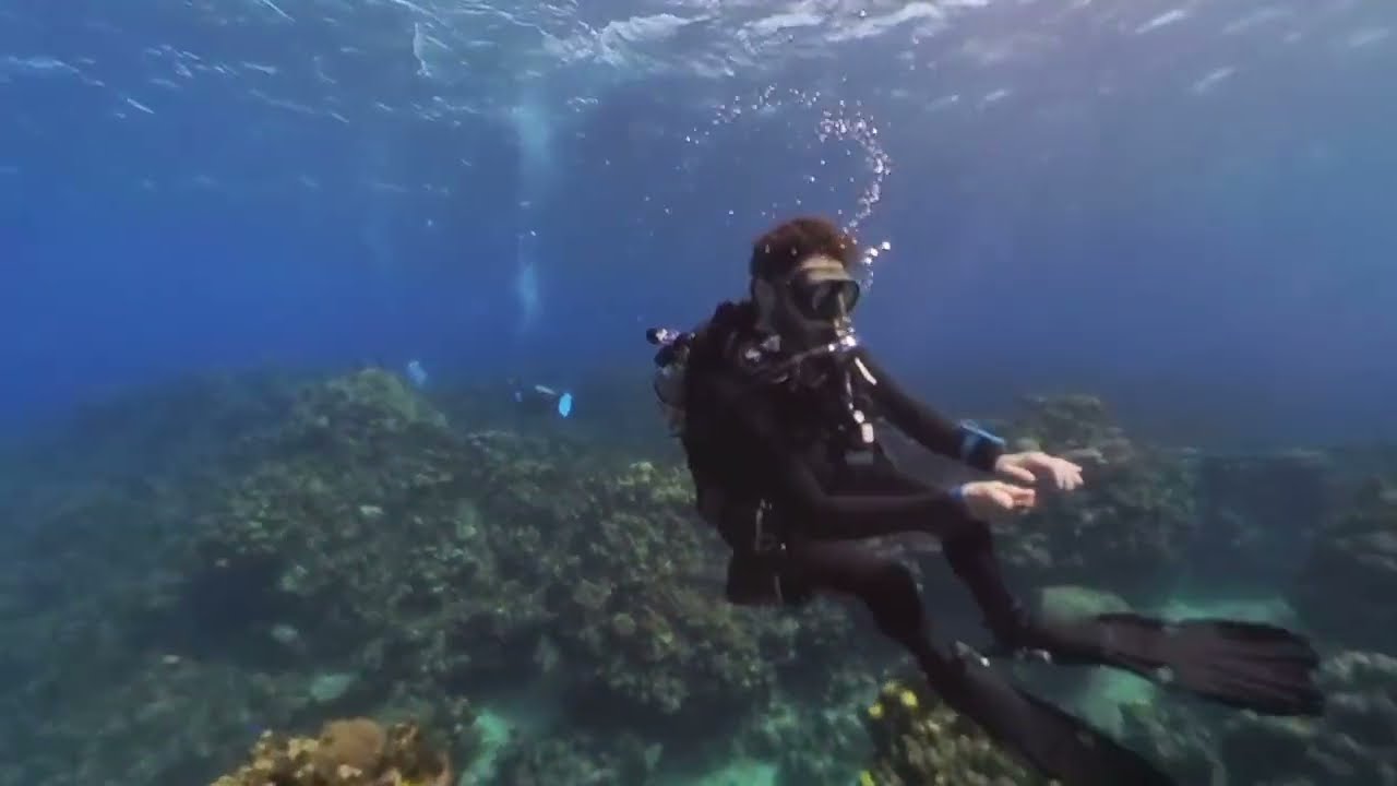 DD6 Grand Cayman Devils Grotto 4