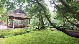 Japanse Tuin wandel tour in mei bij Landgoed Clingendael tour 5