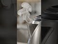 ⚡ Nova Electric Kettle 2.0L | ব্যস্ত সময়ে ইনস্ট্যান্ট চা গরম!