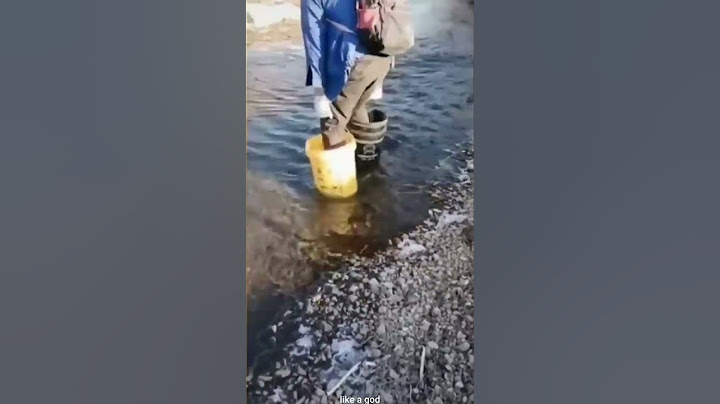 iq level 10000%