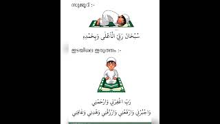 നസകര ദകറകൾ