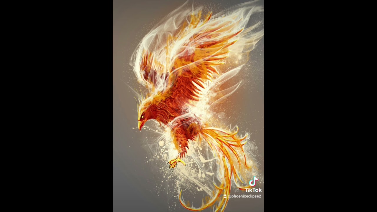 KING PHOENIX ECLIPSE-IMMA HAVE A GOOD TIME LIKE A AK