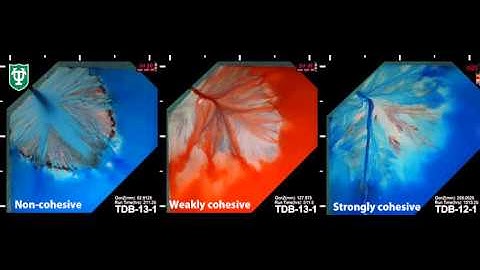 3 Deltas with different degrees of sediment cohesion undergoing pure aggradation.