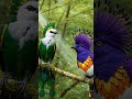 A vibrant world of exotic birds showcasing stunning wing displays in a lush forest. Every movement