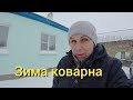 Домик у Церкви опять Заметает, У барашка растут Рожки, Получили Вкусности