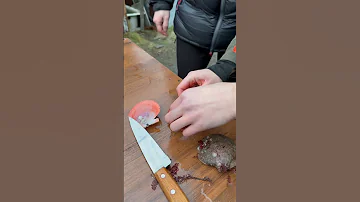 Морской гребешок. Поймали. Как почистить? Видеоинструкция у меня! Гаражи Териберки, если что
