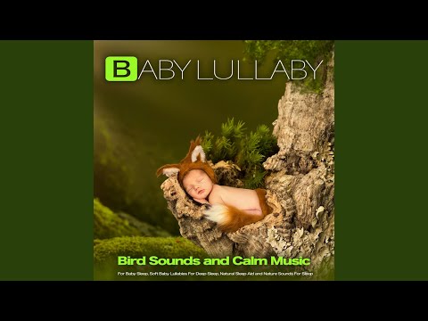 Cover Baby Sleep Music
