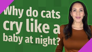 Why do cats cry like a baby at night?