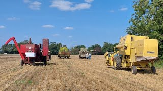 Combines at Little Ellingham 2025