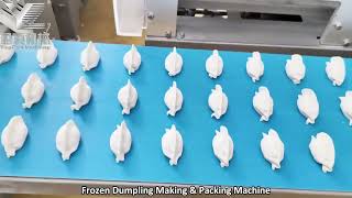 Frozen Dumpling Making &amp; Packing Machine