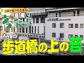 #91 【自撮り苔散歩】渋谷駅の歩道橋の上の苔