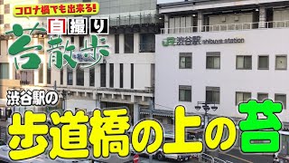 #91 【自撮り苔散歩】渋谷駅の歩道橋の上の苔