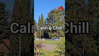 Calm U0026 Chill Lofi Relax Beats shorts viral
