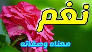 معنى اسم نغم وصفات من تحمل هذا الاسم !!