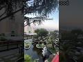 Yamashiro Hollywood is a top restaurant in Los Angeles, perfect for date night & gorgeous sunsets!