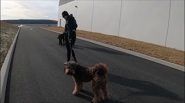 Butters adding known distractions to 123 Pattern Game Control Unleashed