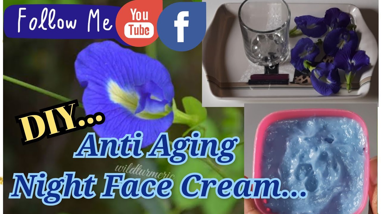 DIY Anti Aging Night Face Cream Homemade Face Cream Butterfly Pea