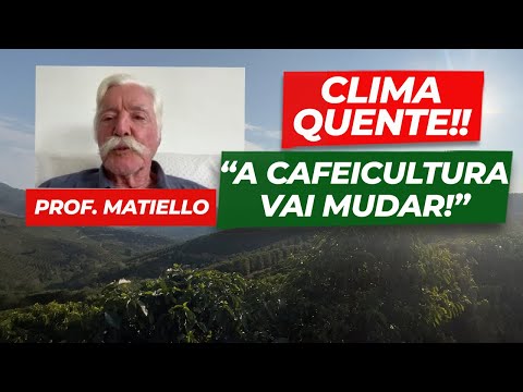 Professor Matiello fala sobre VARIEDADES resistentes à SECA, que são híbridas de CONILON com ARÁBICA