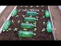 How to make Self Watering System for your Plants using waste Plastic Bottle and a Rope