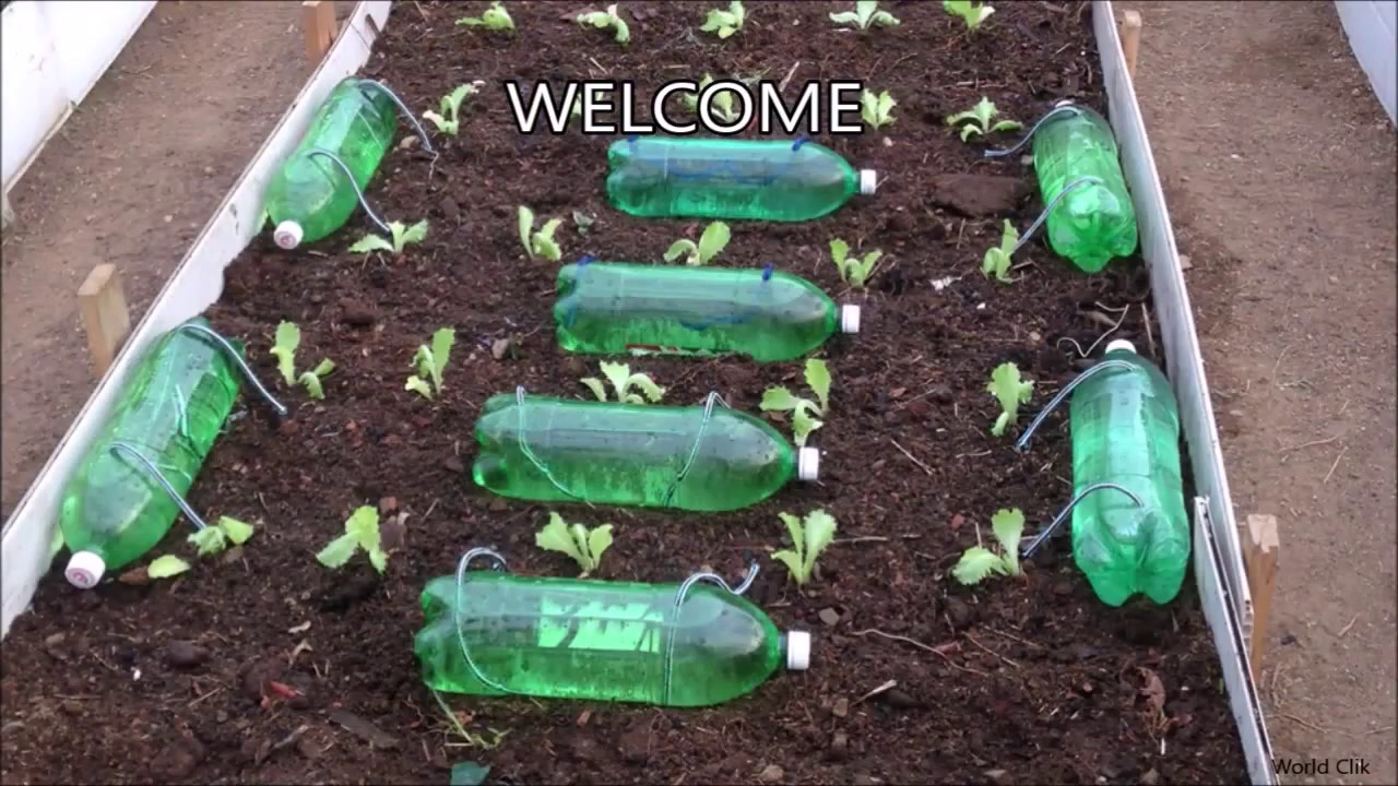 how to make self watering system for your plants using waste plastic bot plant drip irrigation diy box balcony