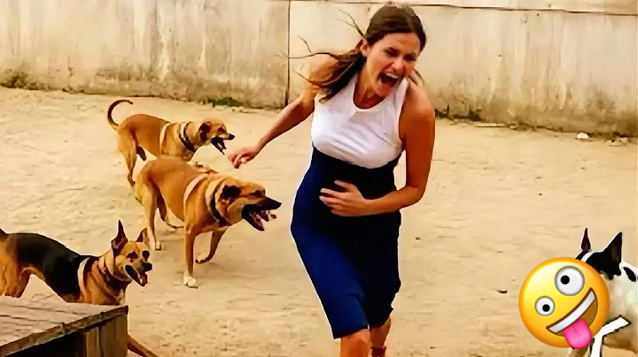 Watch the video about Funniest Animal Videos Caught on Camera | Try Not to Laugh 😂🤪