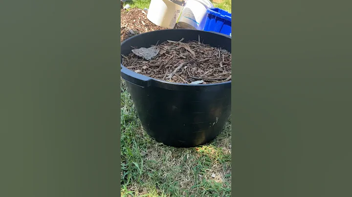 Bokashi Soil Factory #bokashi #composting #compost #soil #gardening #shorts #short #soilfactory