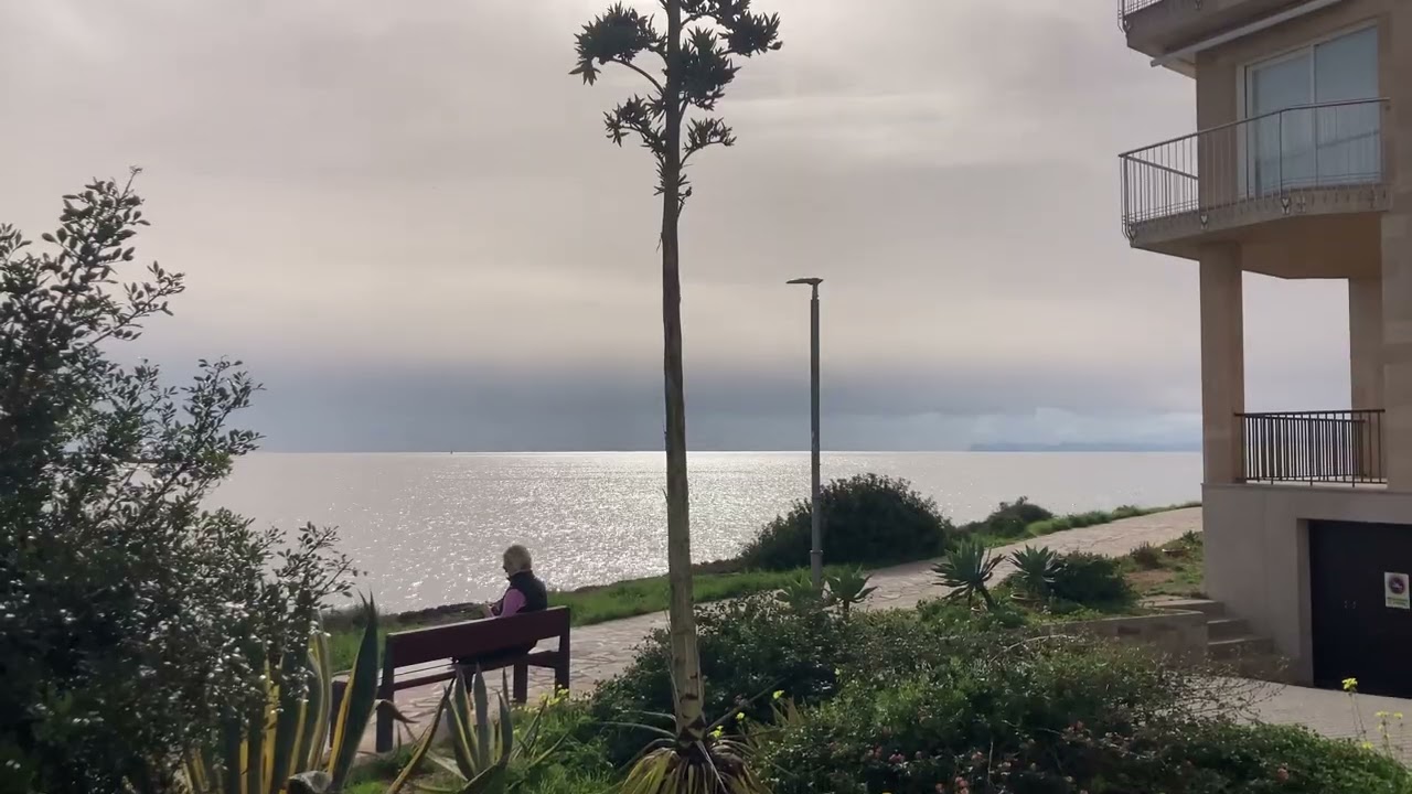 Colonia de Sant Jordi 2026 01 03