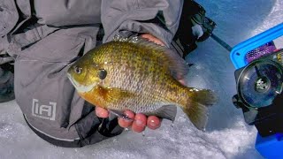 Panfish Finesse in Madison