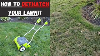 How to Dethatch Your Lawn. Pro Results! Don't Skip This Step!!!