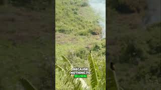 Information Fire Safety Tips: How to Prevent Fire from Spreading Update