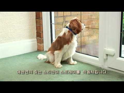 little-dog-deluxe-spray-bark-collar---petsafe