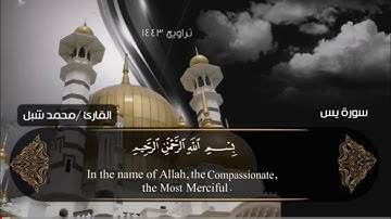 سورة يس من تراويح 1443