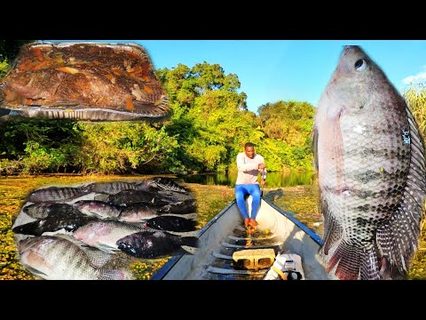 Surviving Saturday: Adventuring, Hunting, And Cooking In A Crocodile Habitat!