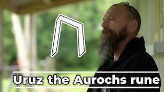 Uruz : the Aurochs rune