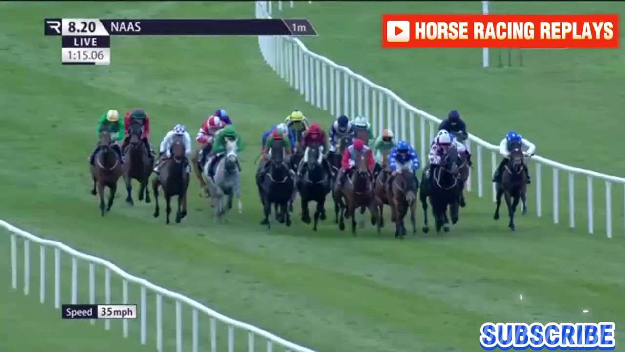 MOUTARDE / 8 Race Naas 29 Apr 2024