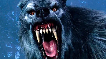 Werewolf Attack Scene - Van Helsing (2004) Movie Clip HD