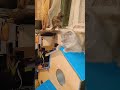🐱Пенелопа утром🐱