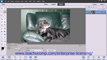 Adobe Photoshop Elements 12 Tutorial Making Selections Employee Group Training  8.2