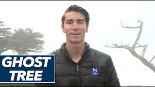 The Story of Ghost Tree - California Big Wave