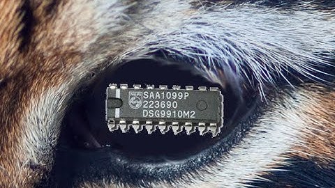 Eye of the Tiger played Z80 computer and SAA1099