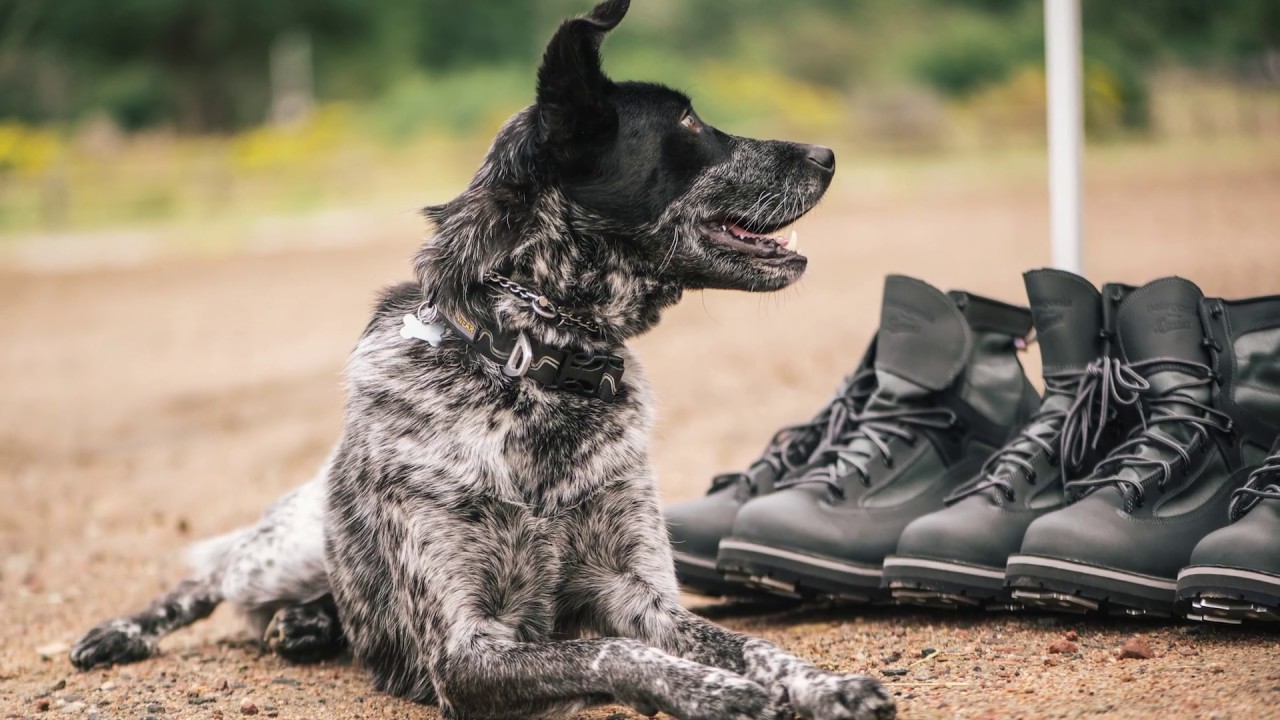 patagonia danner foot tractor