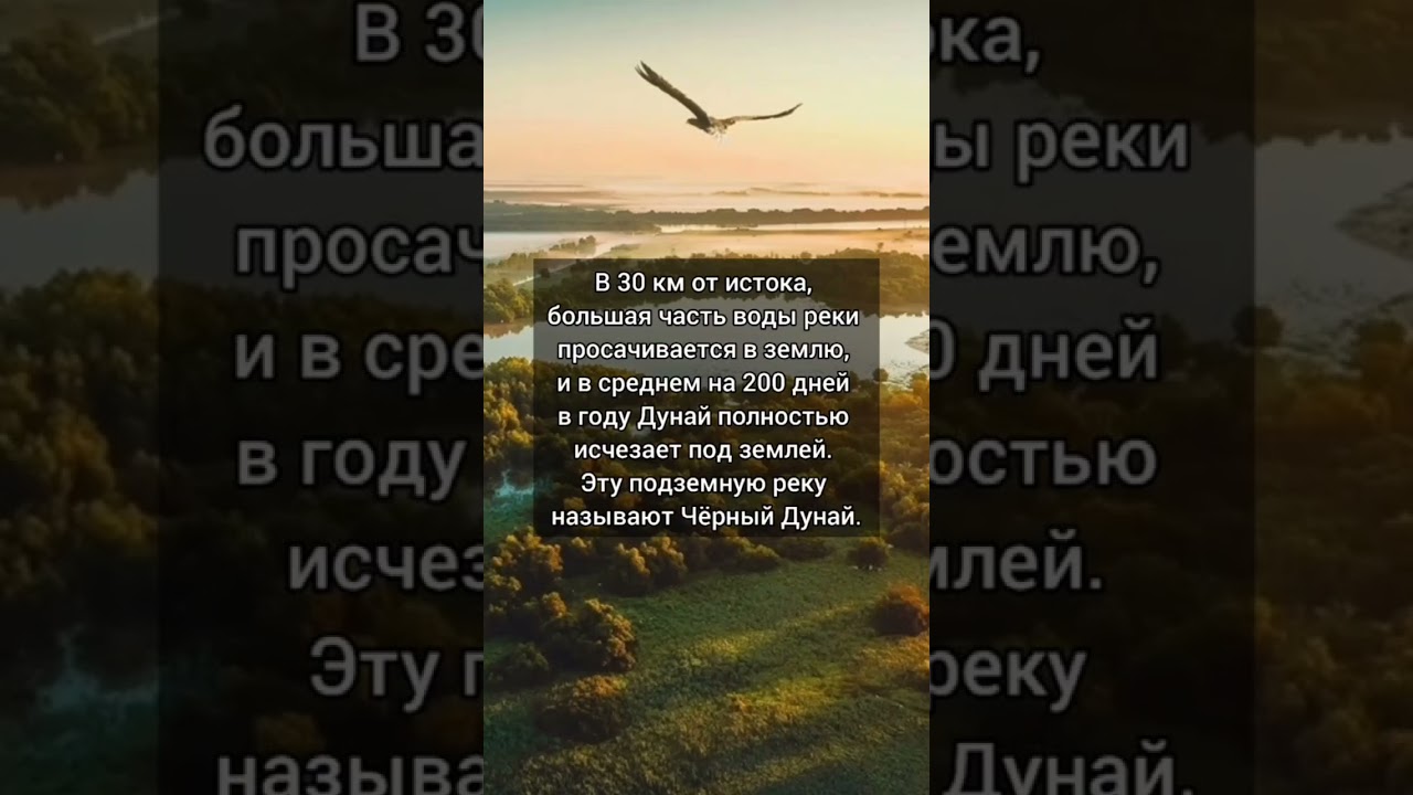 🌊 Река Дунай