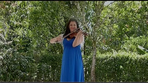 Titanic-  My Heart Will Go On-  Cover Violin Magda...