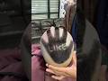 New haircut #barber #fadehaircut new hairstyle new 2026 hairstyle look #hardpart #fade #fadedculture