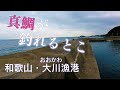 【釣り場動画#90】和歌山で潮通し抜群で真鯛が良く釣れる場所、春からは青物も狙える人気漁港