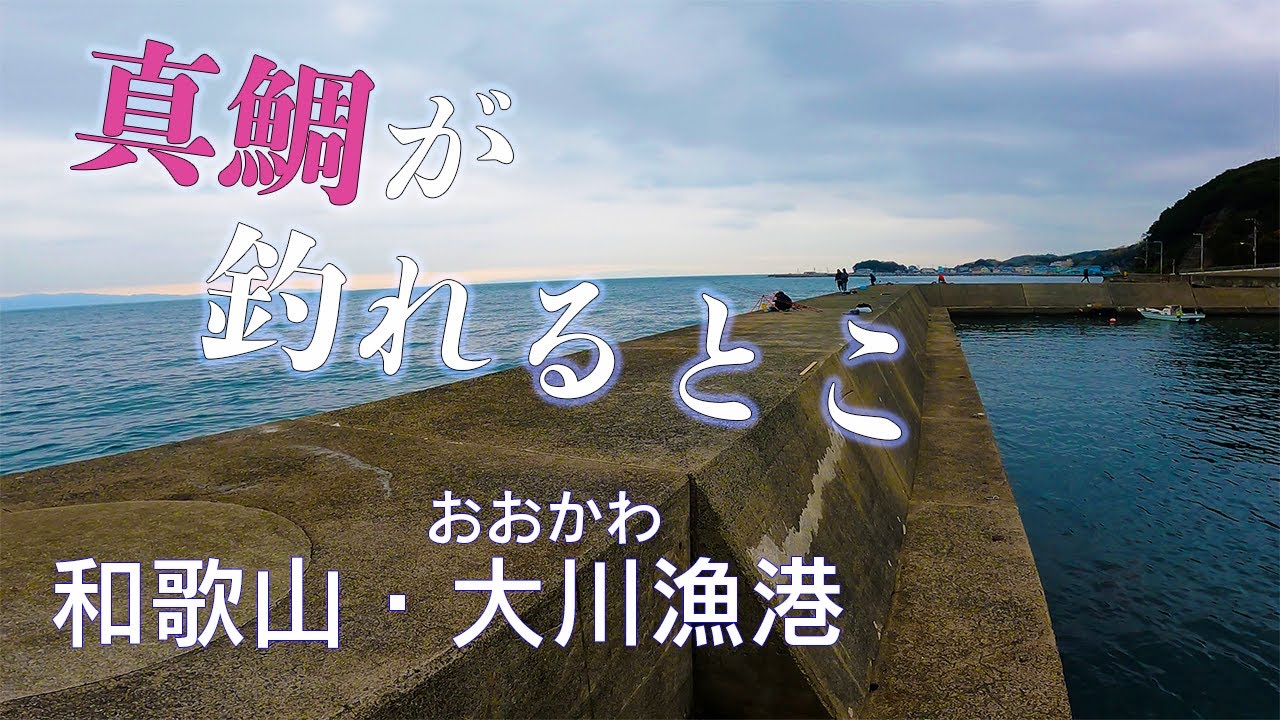 【釣り場動画#90】和歌山で潮通し抜群で真鯛が良く釣れる場所、春からは青物も狙える人気漁港