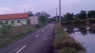 Motor tuek wani balap (Madiun)  tumbal vs kopong