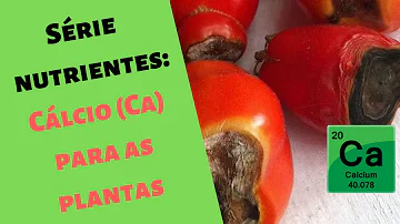 Qual a importância do cálcio na planta?