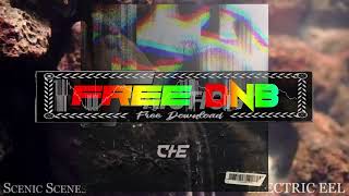 Che ~ Friction