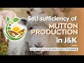 Self sufficiency in mutton production in jk